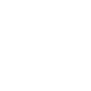 Logo Studio 100