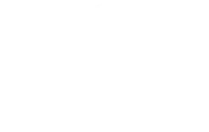 Logo Televomero