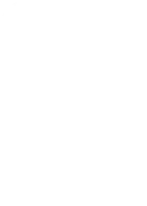Logo TVSEI